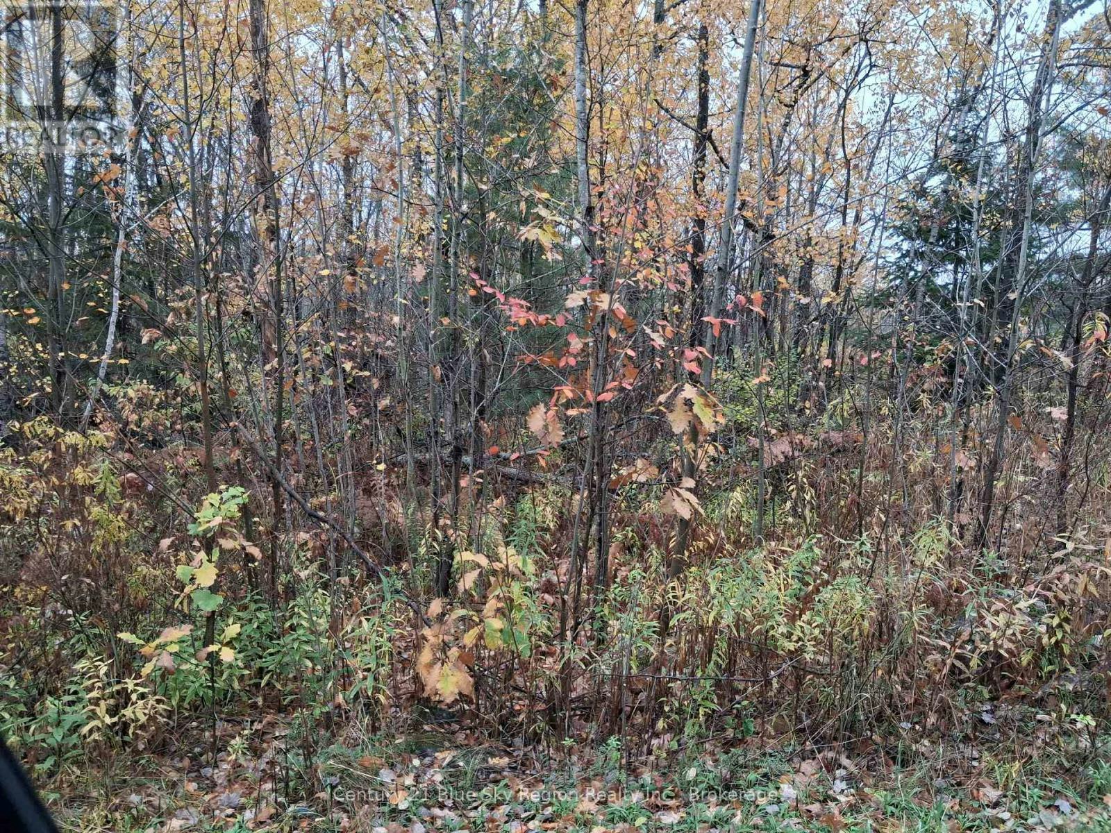 0 Bear Creek Road, Nipissing, ON, P0H 1H0