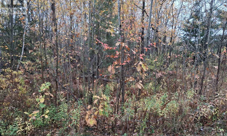 0 Bear Creek Road