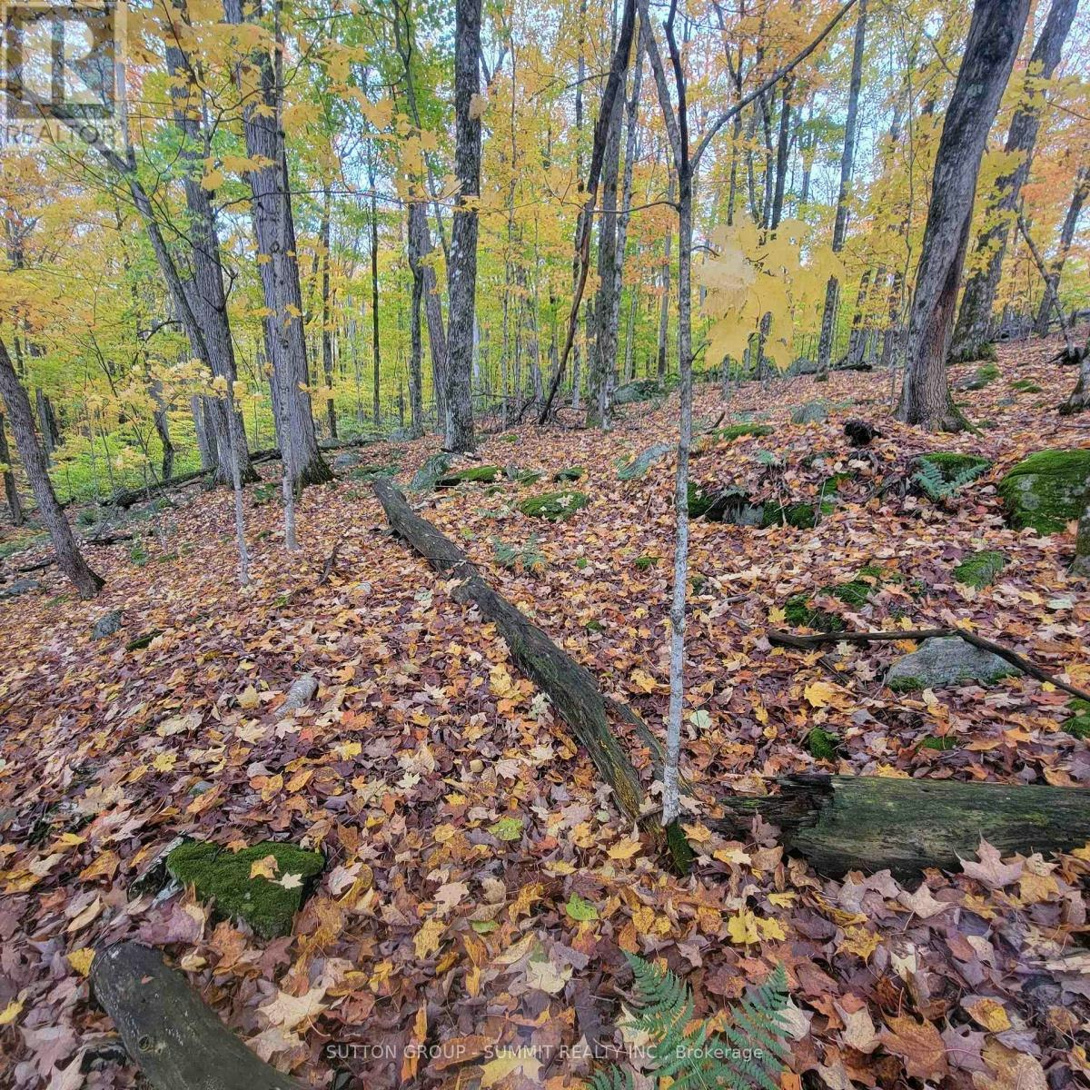 261 Westpoint Sands Road, Huntsville, ON, P1H 2J3