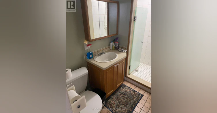 LOWER LEVEL-315 Forde Crescent, King, ON, L7B 1G7 - 8