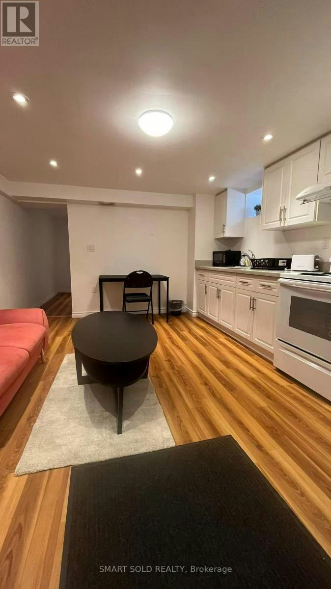LOWER-232 Crawford Street, Toronto, ON, M6J 2V6 - 9