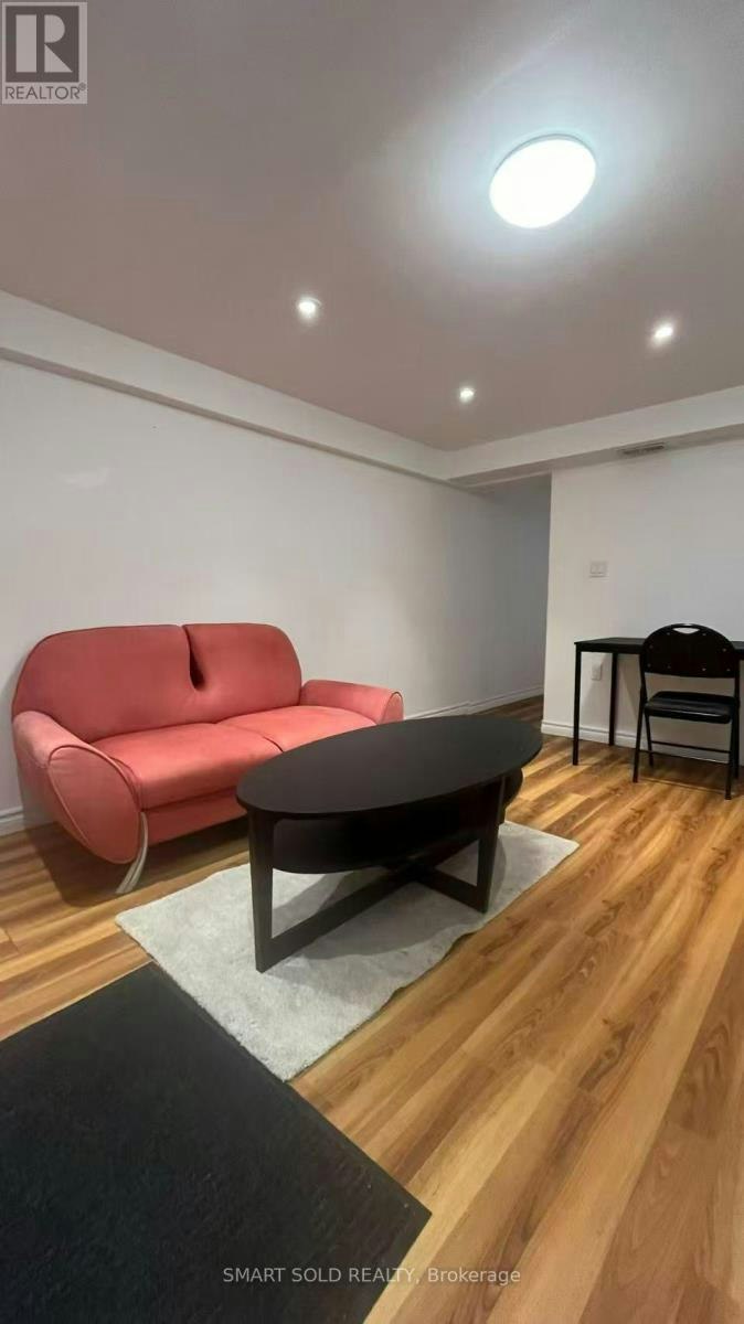 LOWER-232 Crawford Street, Toronto, ON, M6J 2V6 - 10