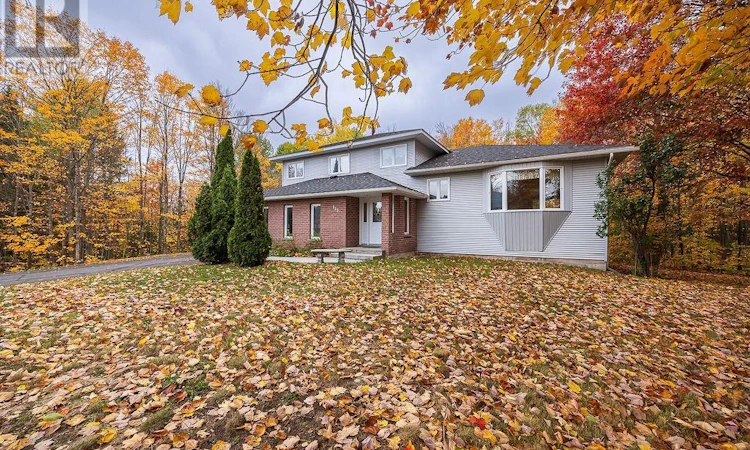 123 Palomino Drive