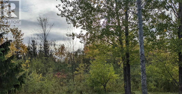 103 Robertson Avenue, Meaford, ON, N4L 1W7 - 24