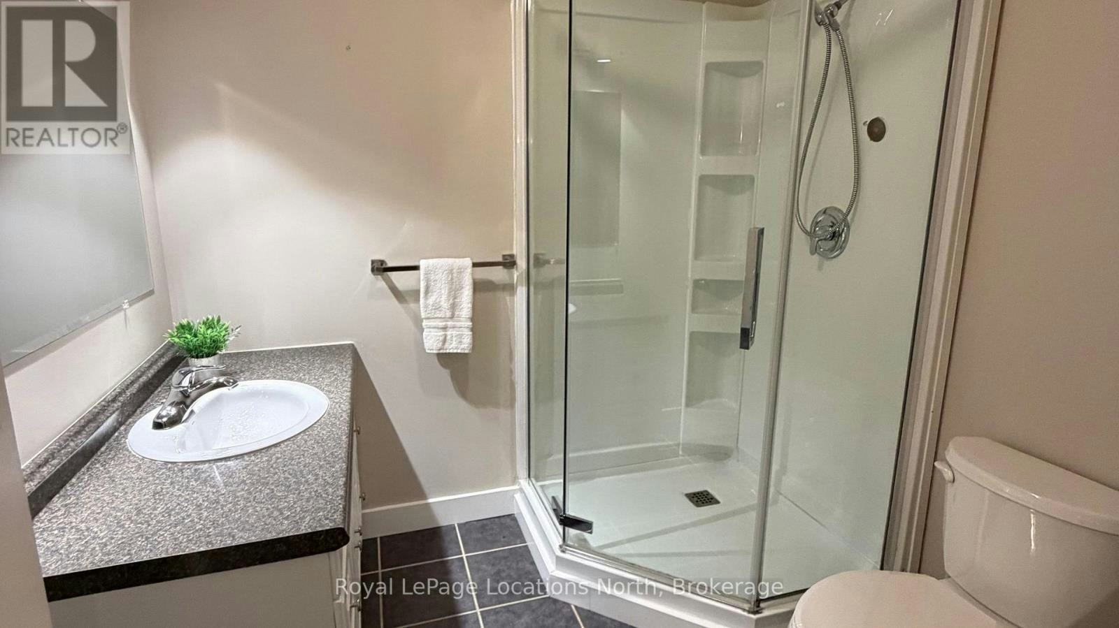 LOWER-37 Davis Street, Collingwood, ON, L9Y 0E2 - 6