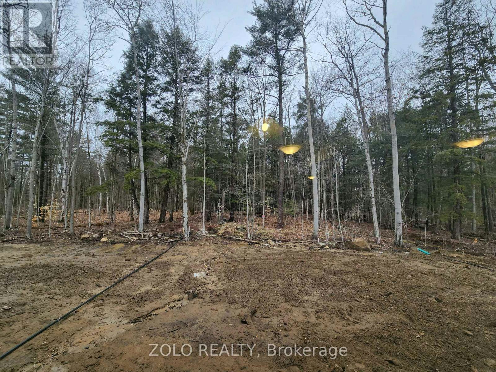 455 Beechwood Forest Lane, Gravenhurst, ON, P1P 1A7 - 20