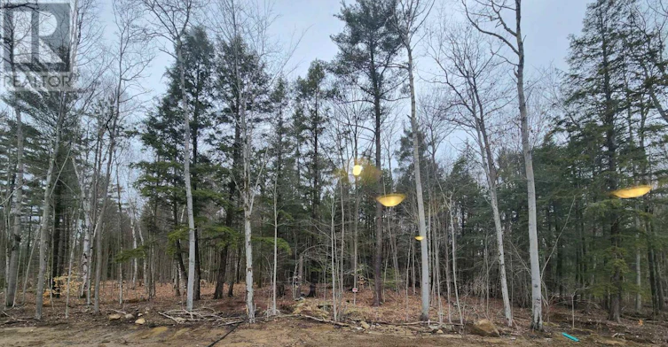 455 Beechwood Forest Lane, Gravenhurst, ON, P1P 1A7 - 20