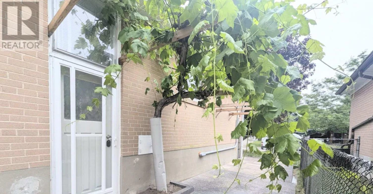 LOWER-42 Mossbank Drive, Toronto, ON, M1G 2C3 - 3