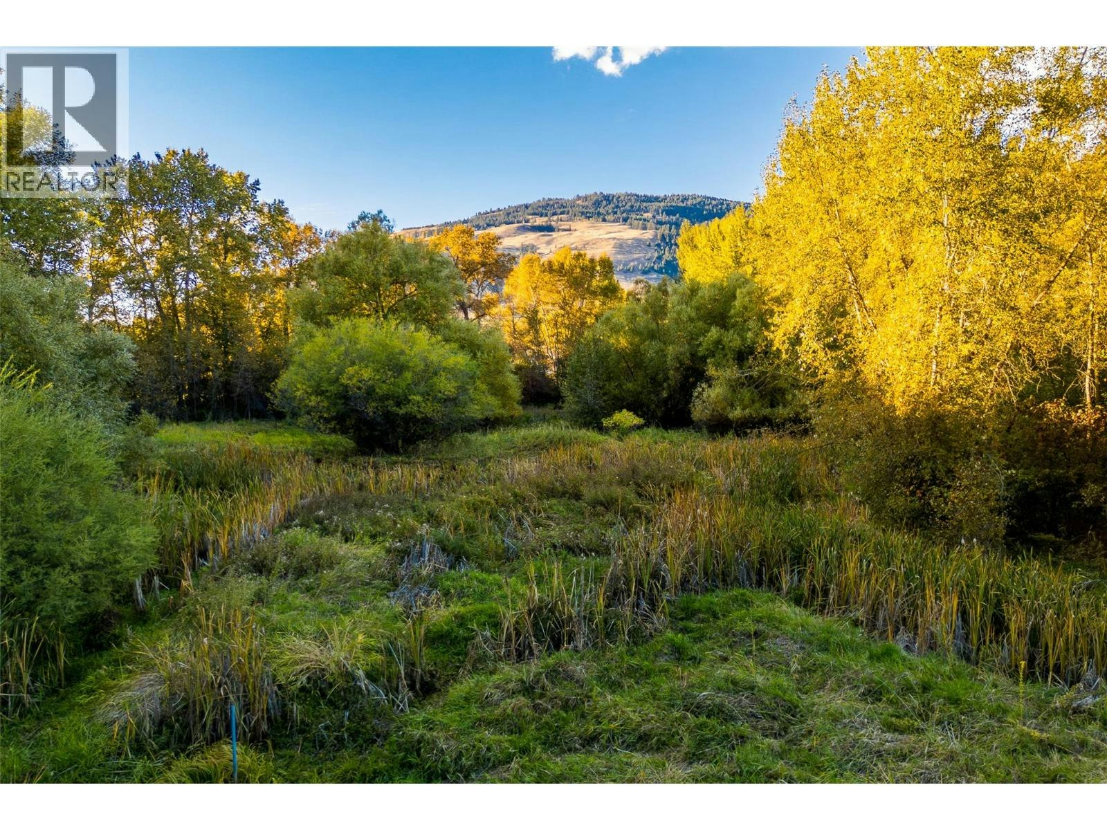 7001 Learmouth Road, Coldstream, BC, V1B 3H1 - 82