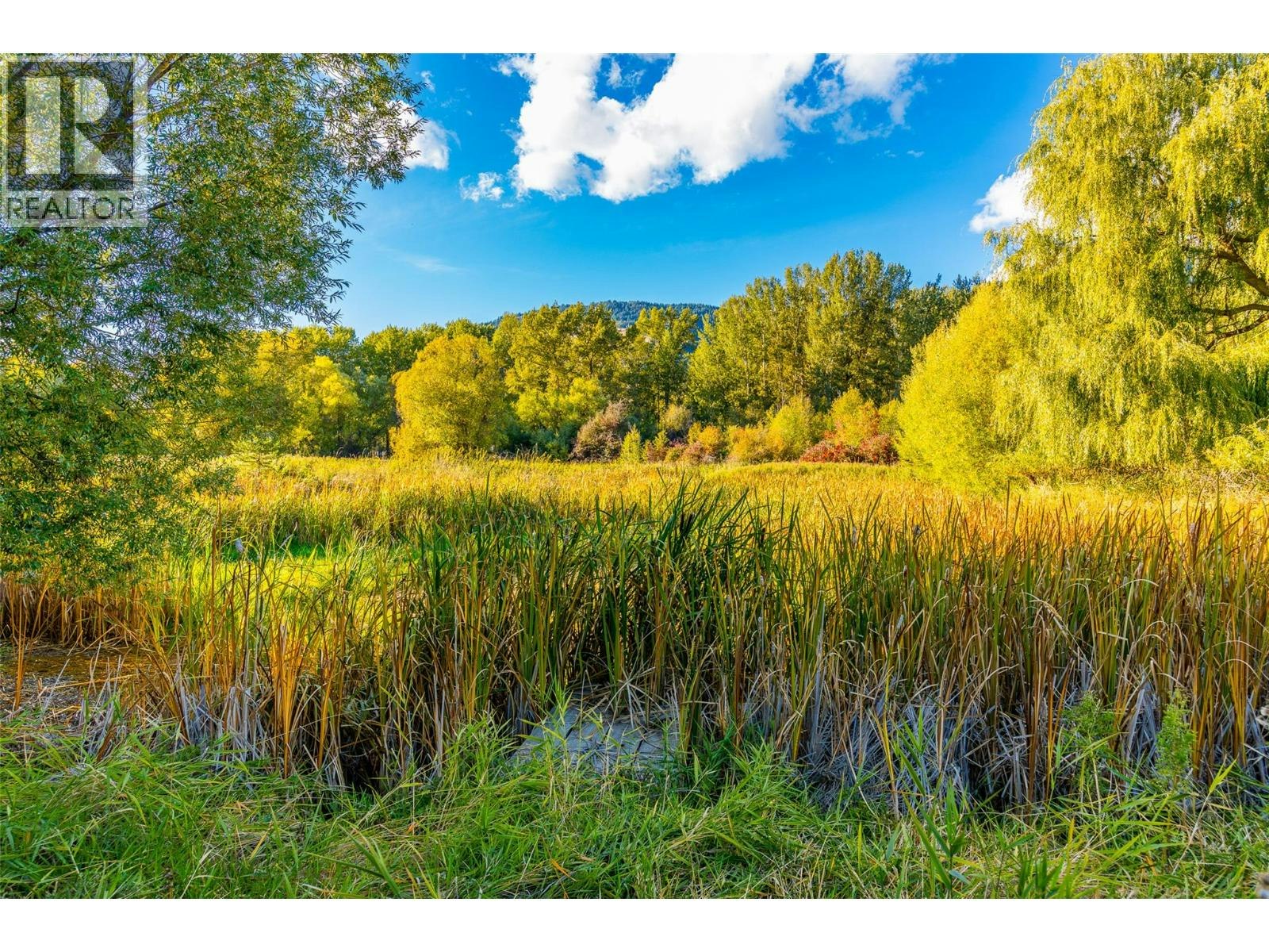 7001 Learmouth Road, Coldstream, BC, V1B 3H1 - 62