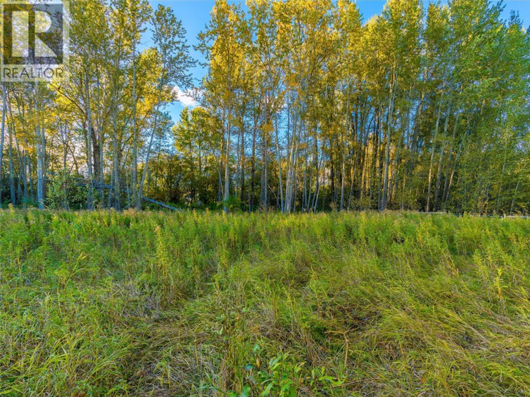 7001 Learmouth Road, Coldstream, BC, V1B 3H1 - 69