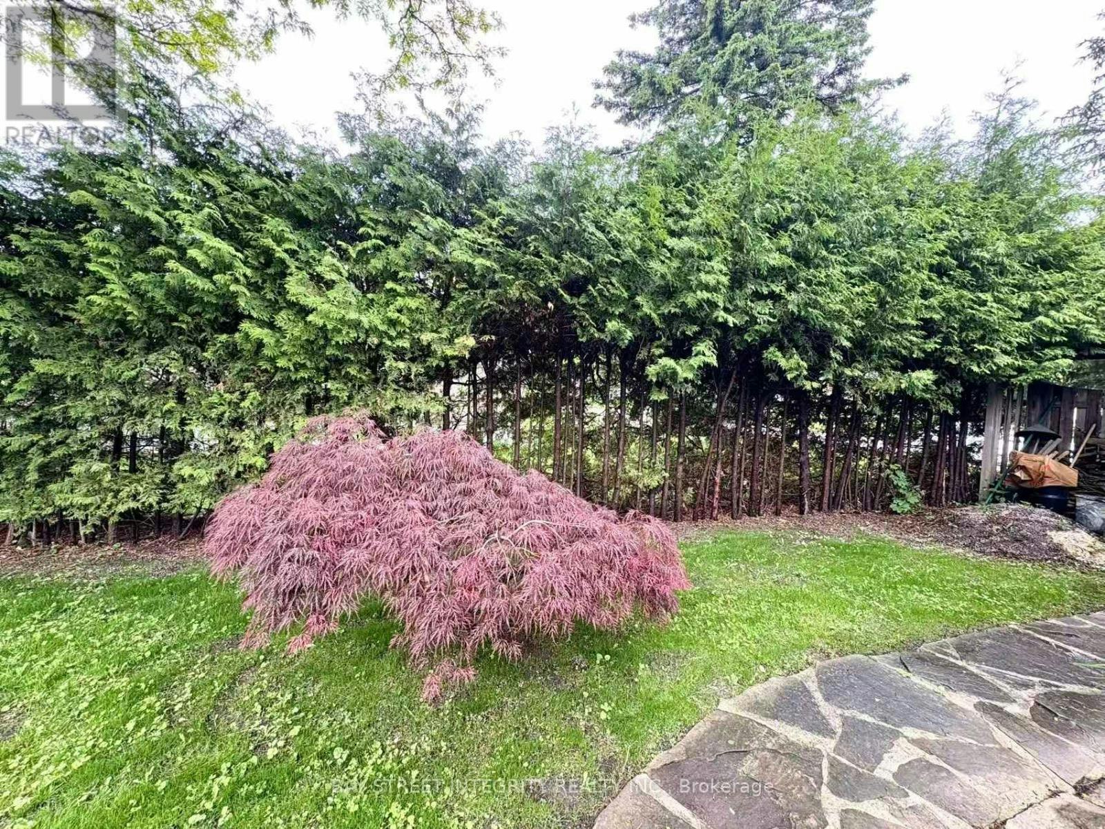 BASEMENT - BASEMENT-18 Leisure Lane, Richmond Hill, ON, L4C 4W8 - 22