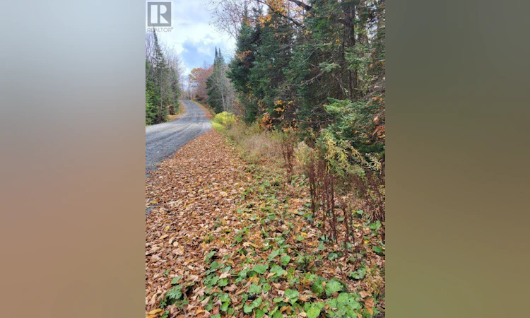 0 Haines Lake Road