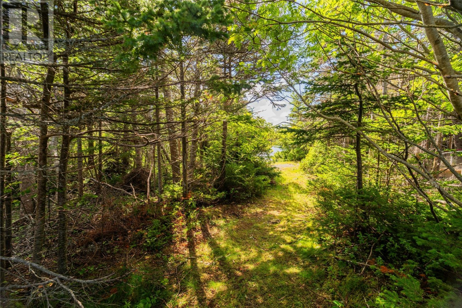 7 Sallesnik Lane, Torbay, NL, A1K 0B4 - 39
