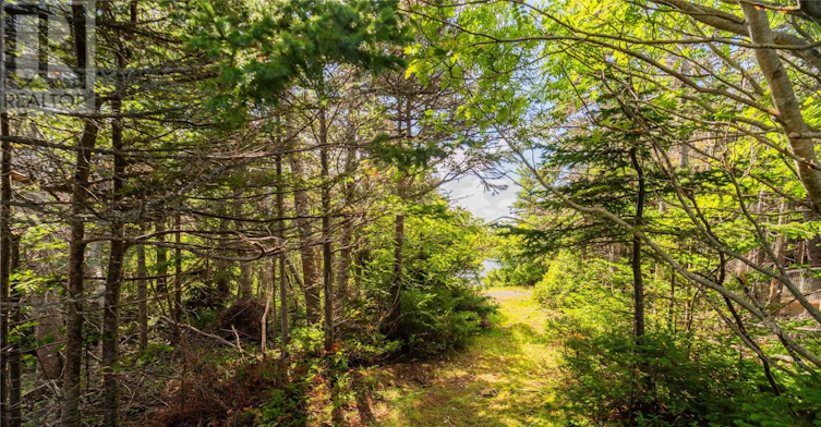 7 Sallesnik Lane, Torbay, NL, A1K 0B4 - 39