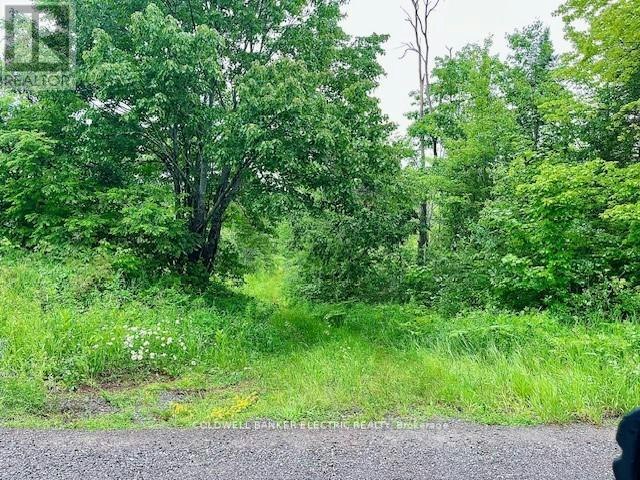 000 Lasswade Road, North Kawartha, ON, K0L 1A0