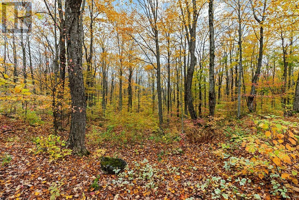 569263 Sideroad 6 Road, Blue Mountains, ON, N0H 2E0 - 42