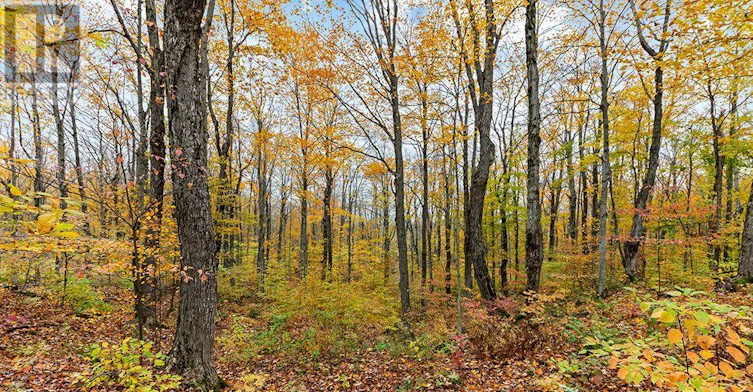 569263 Sideroad 6 Road, Blue Mountains, ON, N0H 2E0 - 42