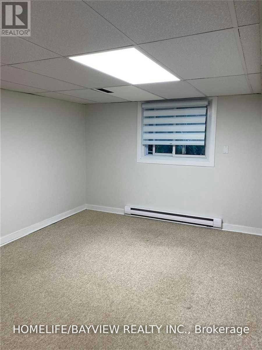 LOWER-36 Eleanor Circle, Richmond Hill, ON, L4C 6K7 - 8