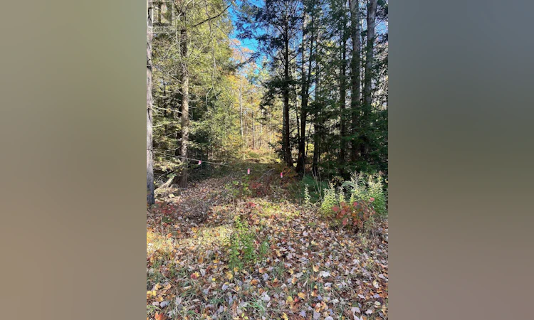 1101 Doe Lake Road