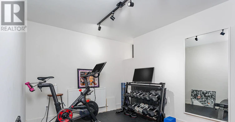 248 Havelock Street, Toronto, ON, M6H 3B9 - 16