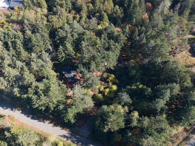 Lot-B Boyd Drive - 5