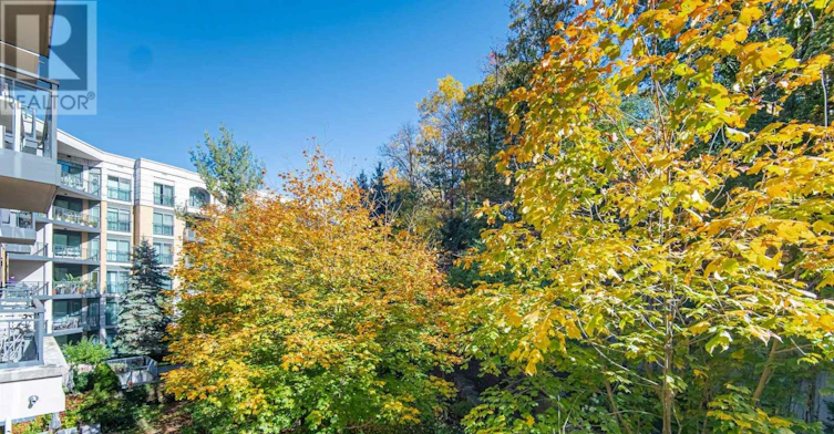 322-11 William Carson Crescent, Toronto, ON, M2P 2G1 - 21