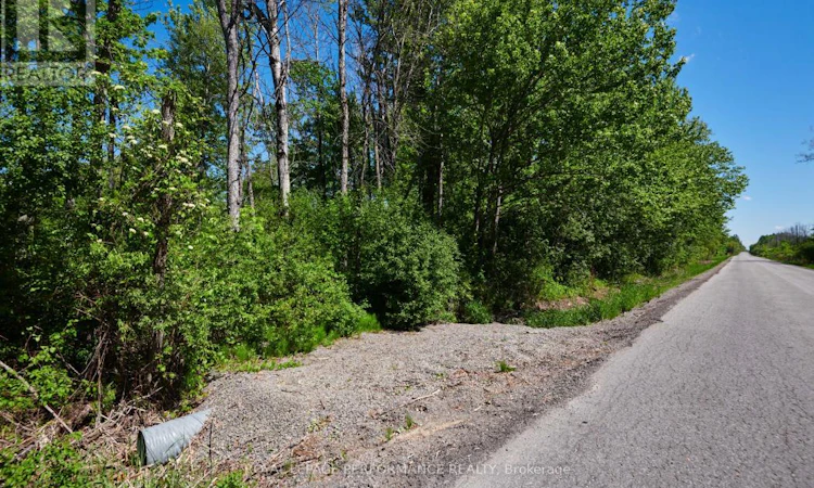 3255 Paden Road