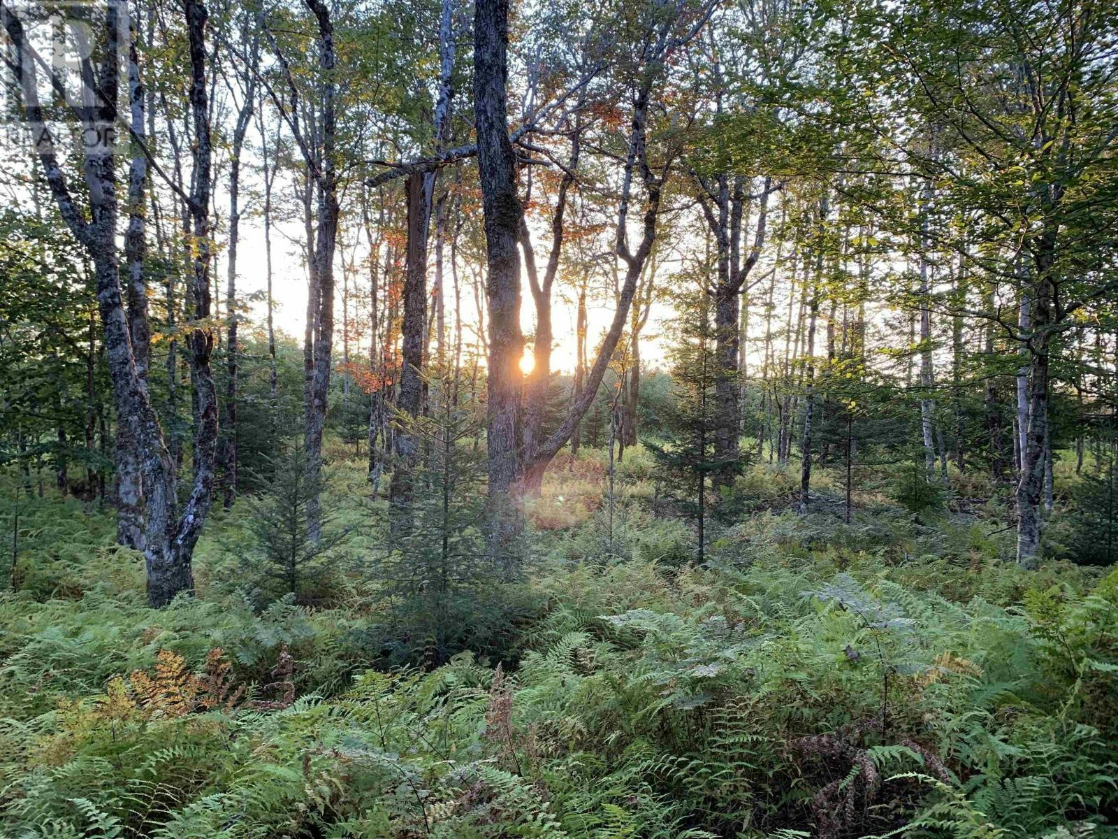 Block-1 316 Highway No, Stormont, NS, B0H 1J0