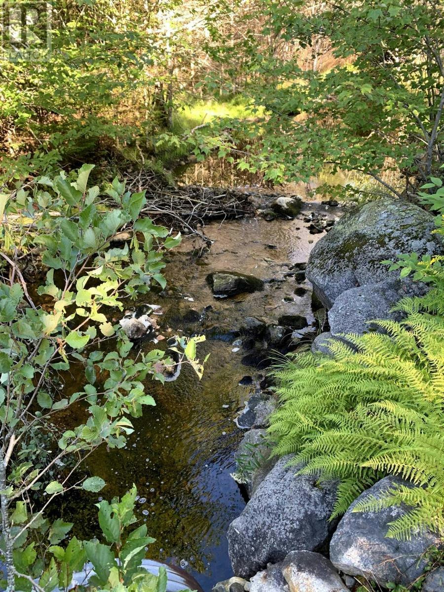 Block-3 316 Highway No, Stormont, NS, B0H 1J0