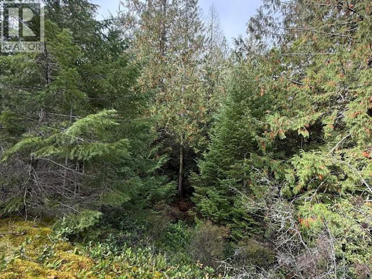 SL 2-9660 Roots Way, Powell River, BC, V0N 2G0 - 5