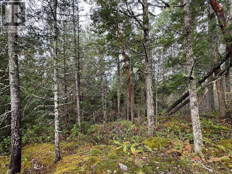 SL 1-9660 Roots Way, Powell River, BC, V0N 2G0 - 4