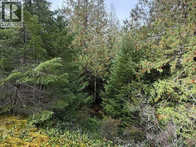 SL 1-9660 Roots Way, Powell River, BC, V0N 2G0 - 5