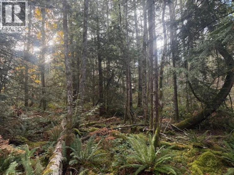 SL 7-9660 Roots Way, Powell River, BC, V0N 2G0 - 5