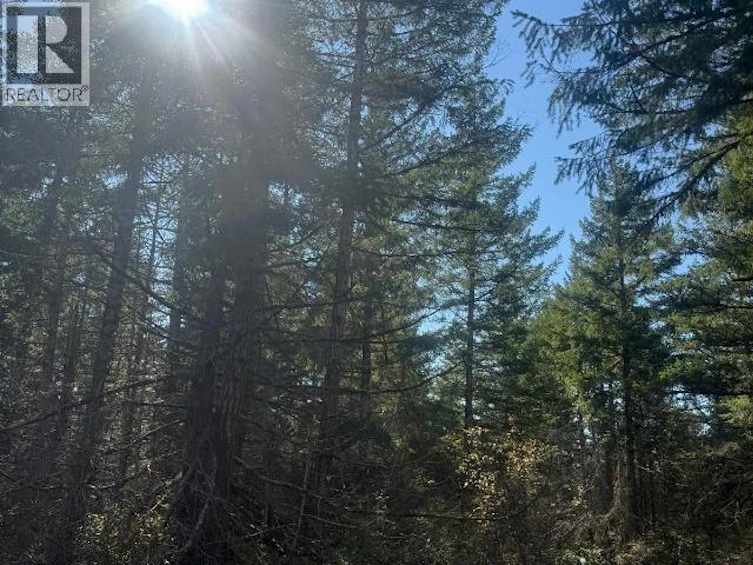 SL 6-9660 Roots Way, Powell River, BC, V0N 2G0 - 5