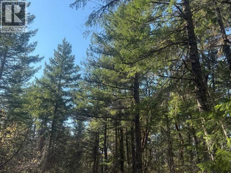 SL 6-9660 Roots Way, Powell River, BC, V0N 2G0 - 6