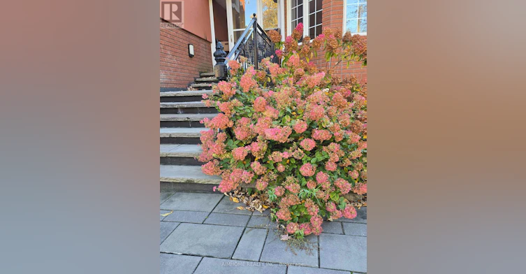 RM 3-66A Cooks Bay Drive, Georgina, ON, L4P 1L8 - 2