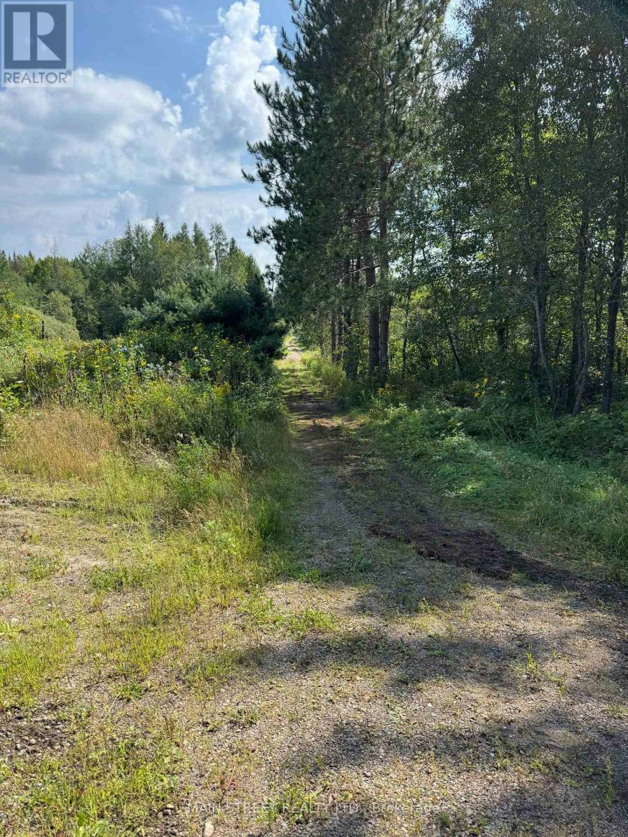 2591 Papineau Road, Cameron, ON, P0H 1V0