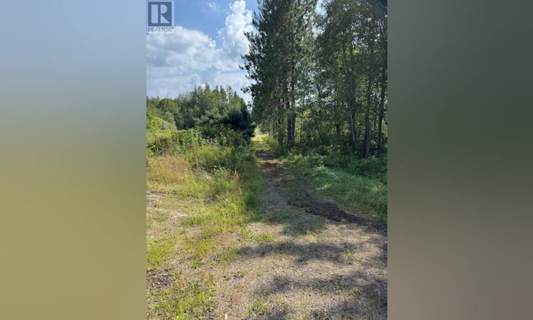 2591 Papineau Road
