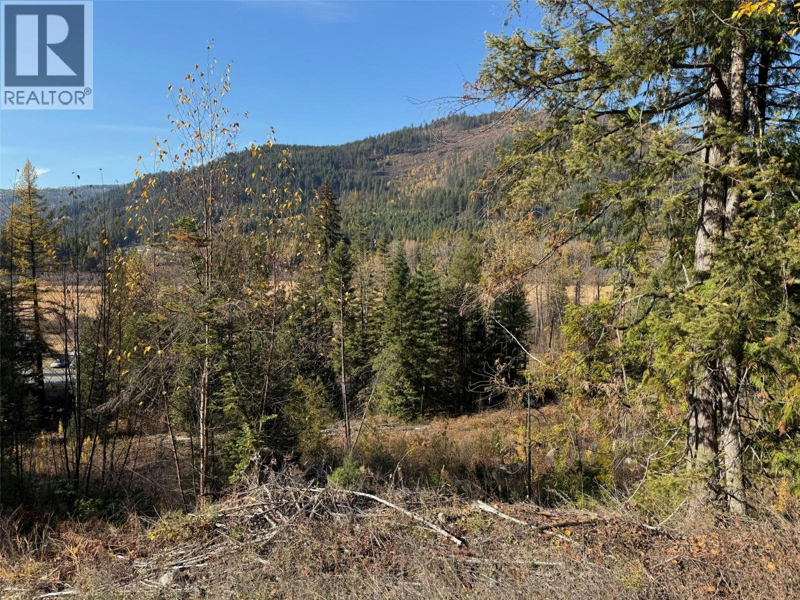 Lot 291-3B Highway, Fruitvale, BC, V0G 1L0