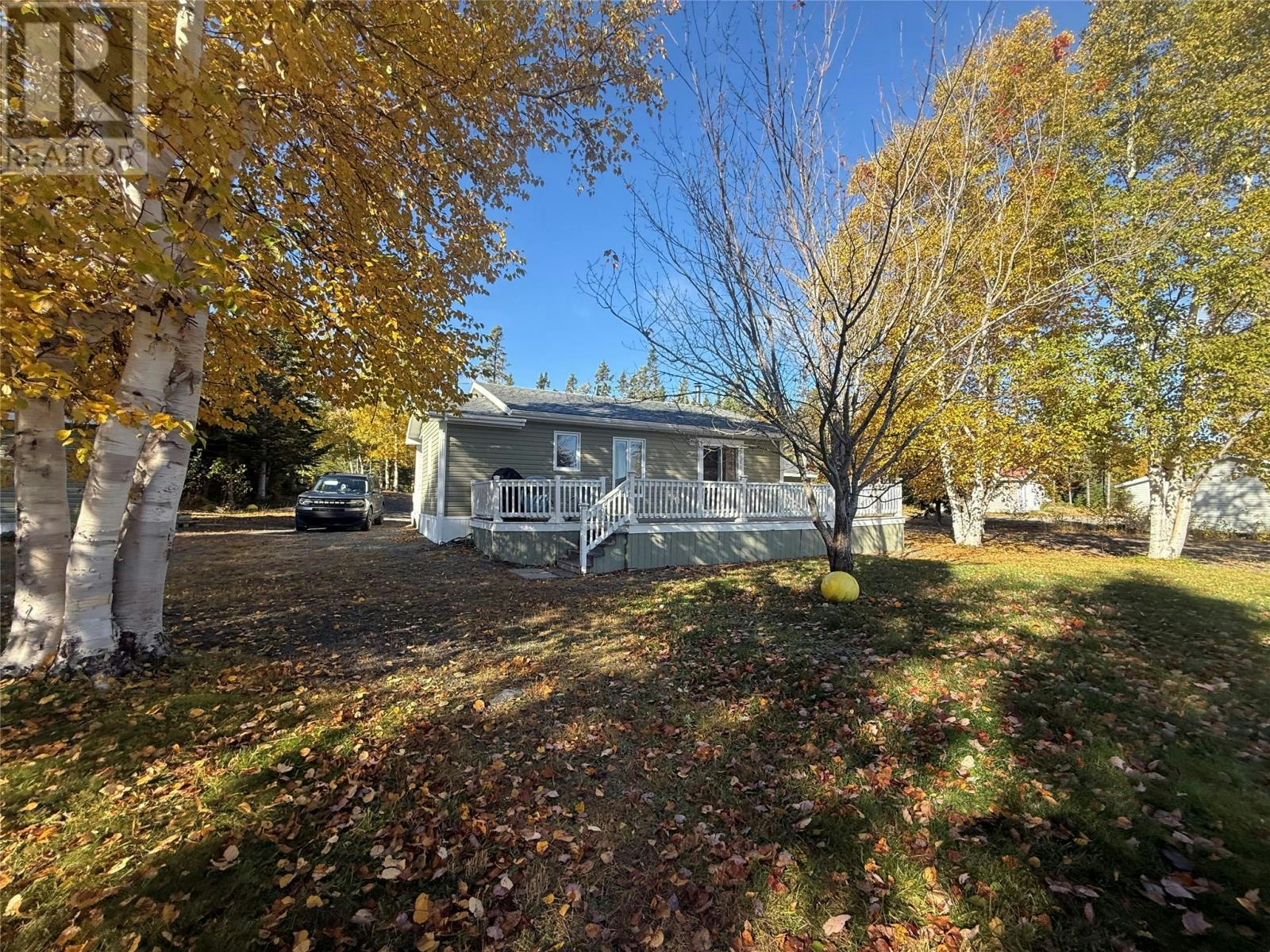 7 Paul's Lake, Badger, NL, A0H 1A0