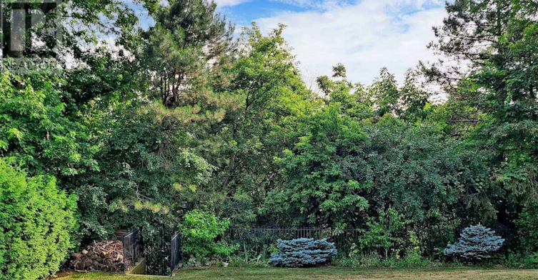 103 Alamosa Drive, Toronto, ON, M2J 2N8 - 19