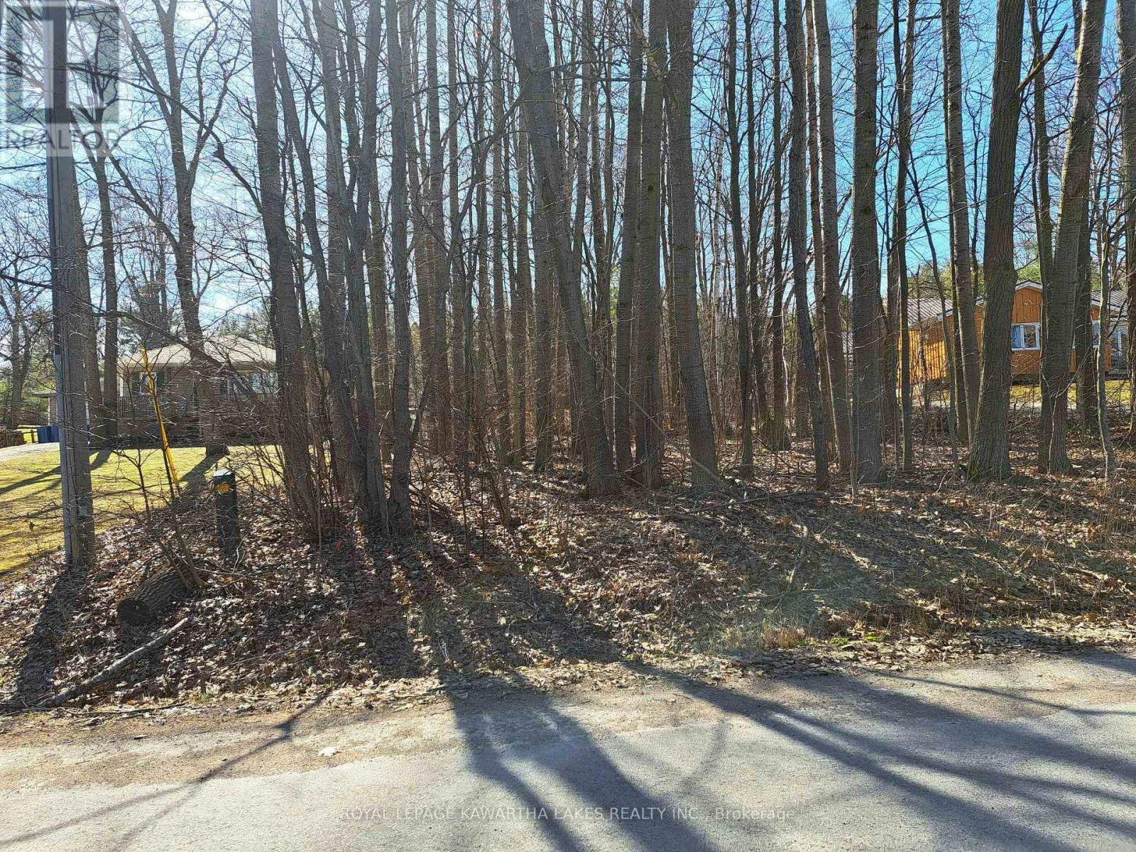 0 Poplar Drive, Hamilton Township, ON, K0L 1E0