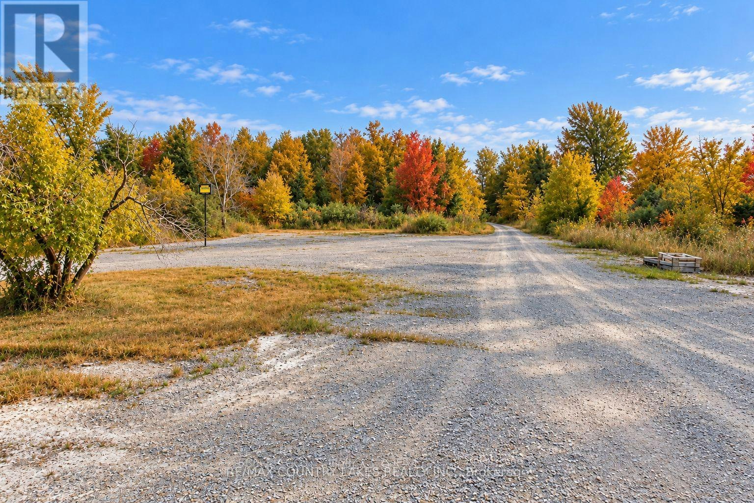 264 Mcguire Beach Road, Kawartha Lakes, ON, K0M 2B0 - 47
