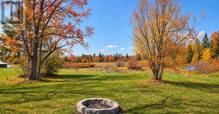 264 Mcguire Beach Road, Kawartha Lakes, ON, K0M 2B0 - 43