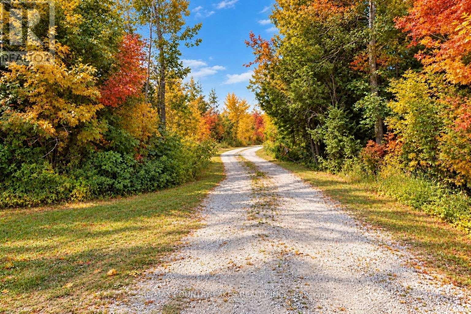 264 Mcguire Beach Road, Kawartha Lakes, ON, K0M 2B0 - 48