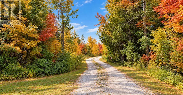 264 Mcguire Beach Road, Kawartha Lakes, ON, K0M 2B0 - 48