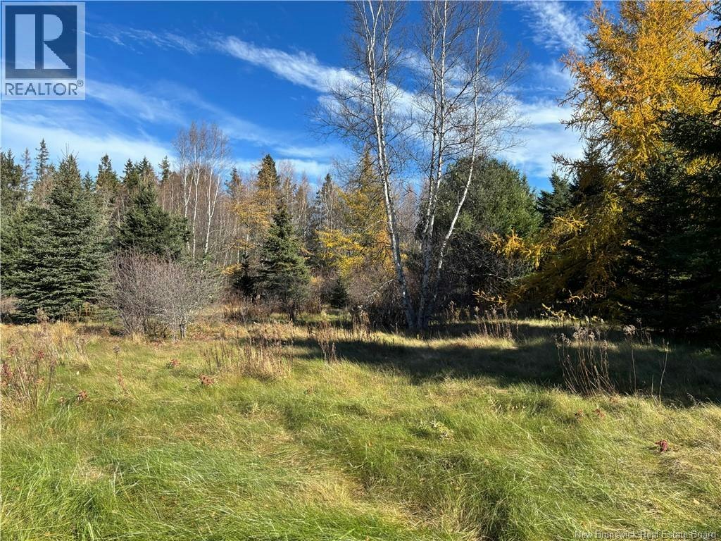 2110 Saint Charles Road South, Saint-Charles, NB, E4W 4W6