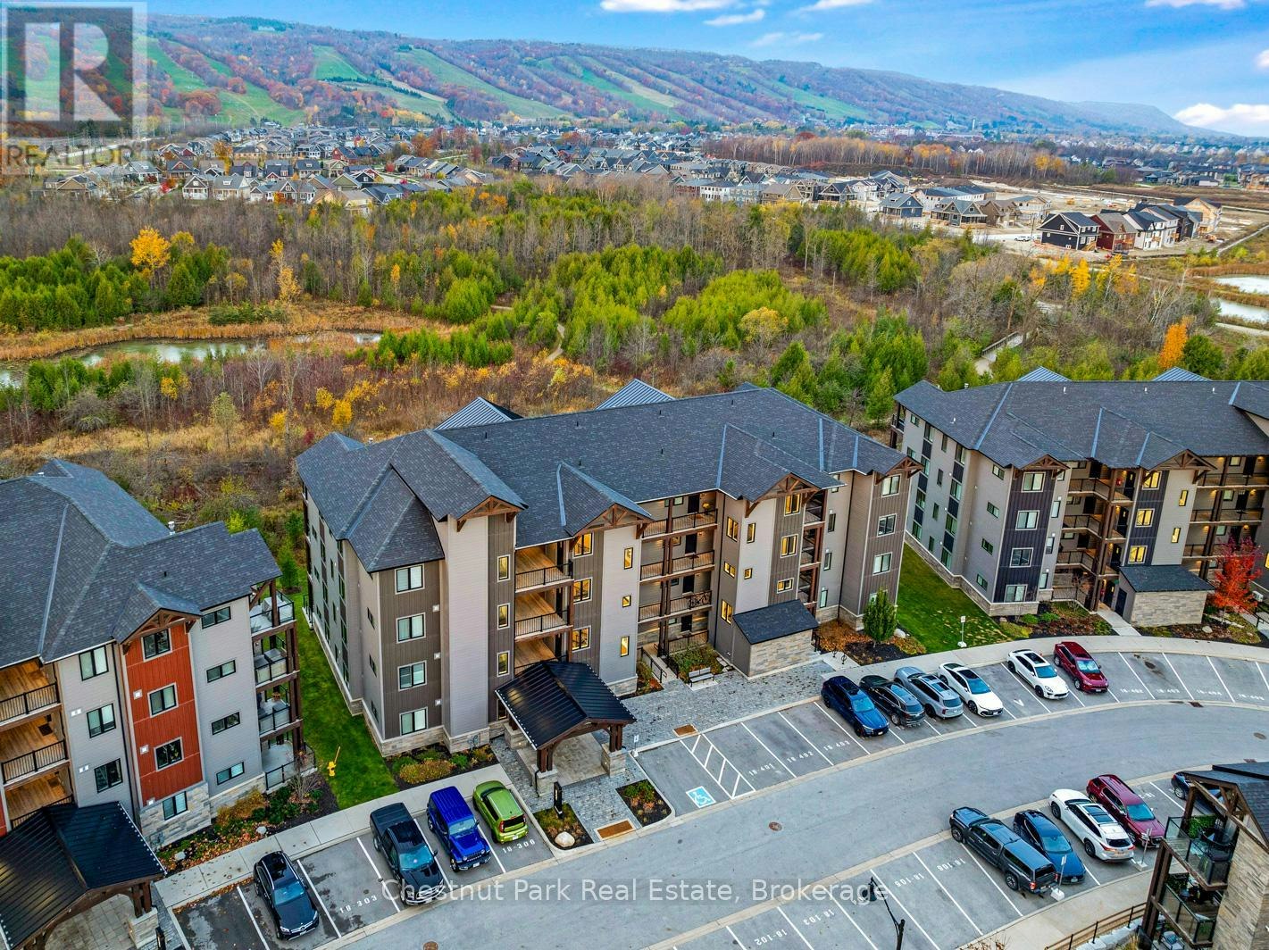 202-18 Beckwith Lane, Blue Mountains, ON, L9Y 3B6 - 49