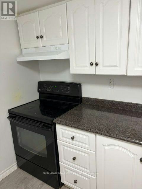 BASEMENT-78 Bristol Road, Newmarket, ON, L3Y 8B5 - 11